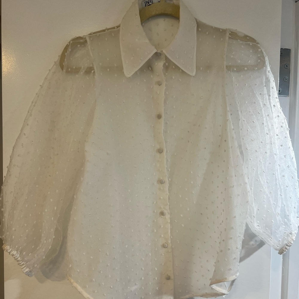Zara Swiss dot blouse